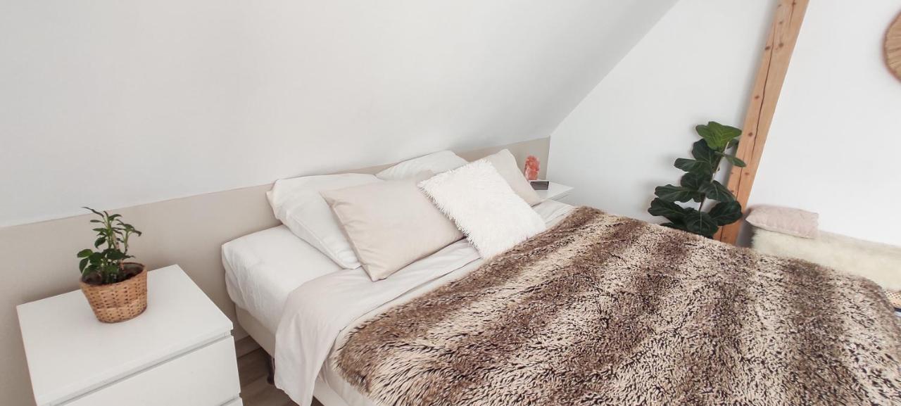 Cocoon Bed And Breakfast Fegersheim Exteriér fotografie